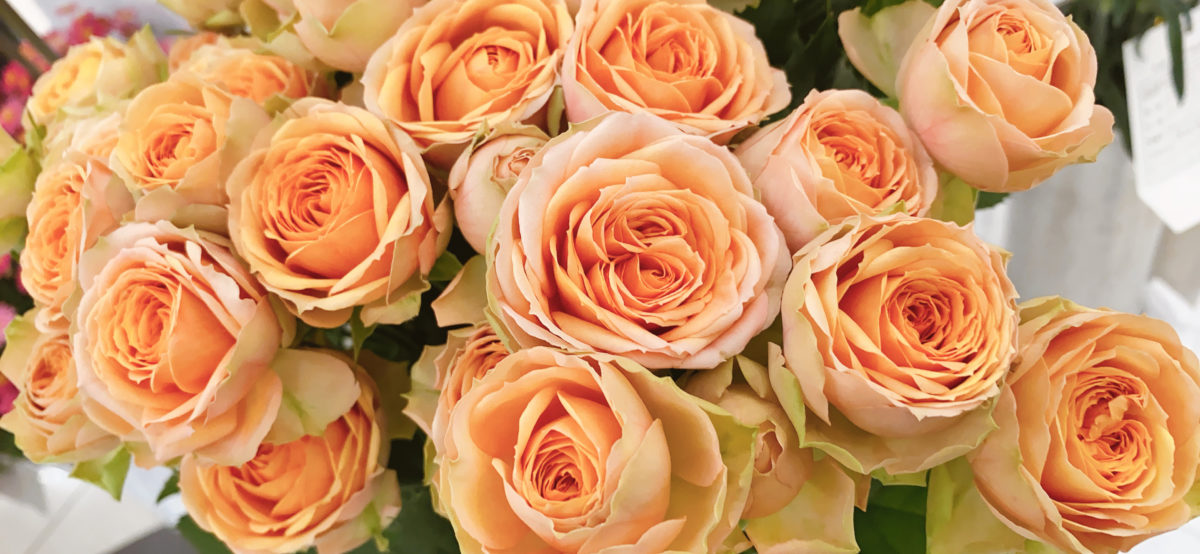 フラワーアレンジメント教室開催